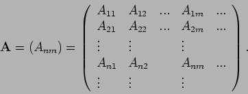 \begin{displaymath}
\mathbf{A}=\left( A_{nm}\right) =\left(
\begin{array}{lllll...
... & ... \\
\vdots & \vdots & & \vdots &
\end{array}\right) .
\end{displaymath}